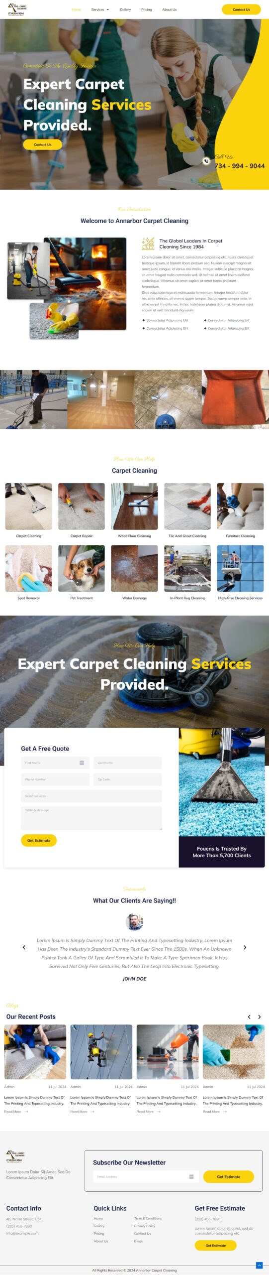 Ann Arbor Carpet Cleaning Web Design